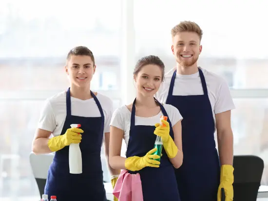 cleaning professionals