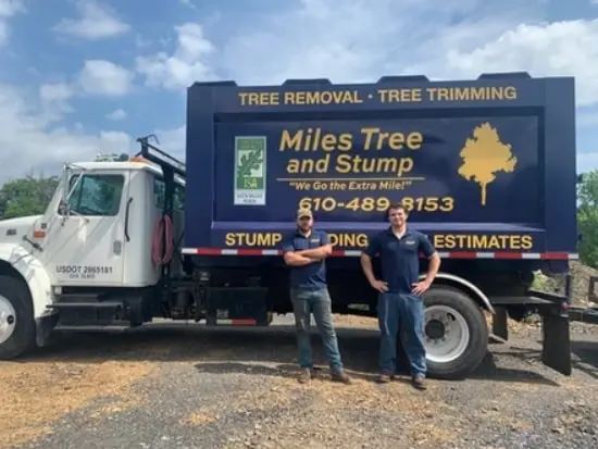 Miles Tree and Stump truck with workers